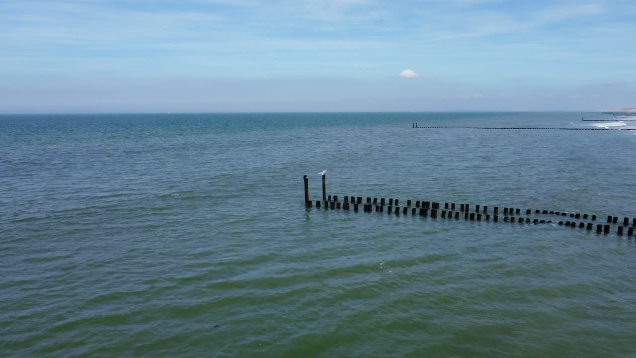 네덜란드의 해변에서 긴 groyne의 기둥에 착륙하는  ⁇  새