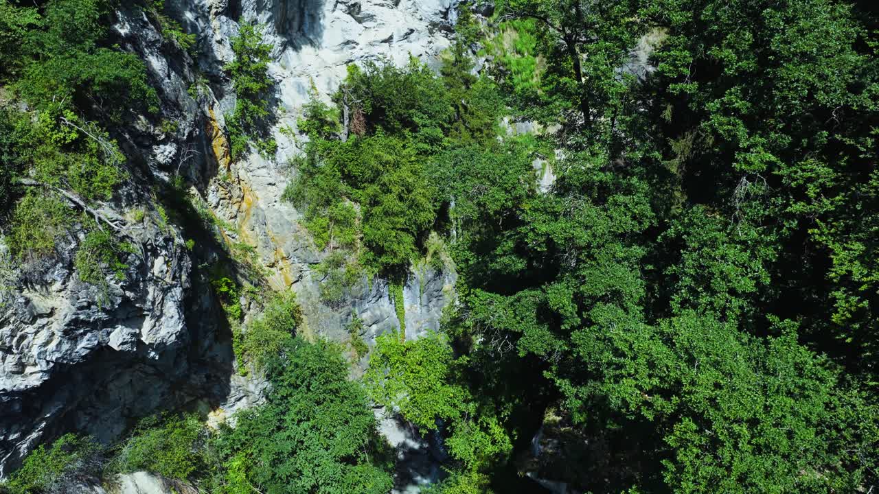 Gola del canyon, Flusso d'acqua dolce, Bosco verde, Scogliere rocciose, Cielo blu, Chamonix, Francia, Rivelazione aerea cinematografica