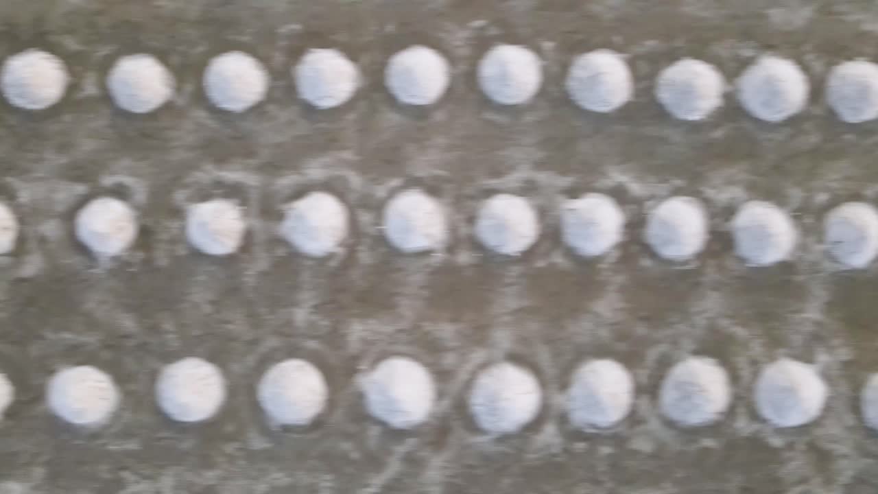 바다 소금  ⁇ 어리가 공중 드론을 내려다보고 있습니다.