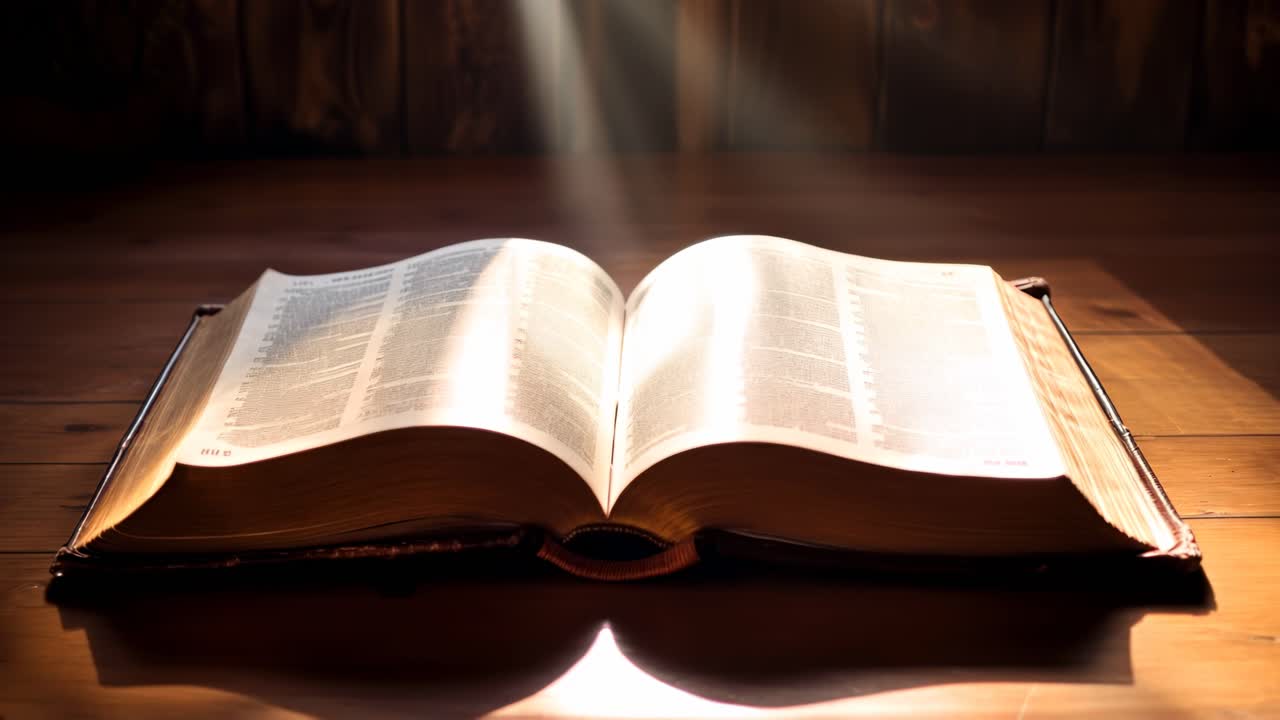 Un video riprende un libro aperto su un tavolo di legno, immerso nella calda luce del sole.