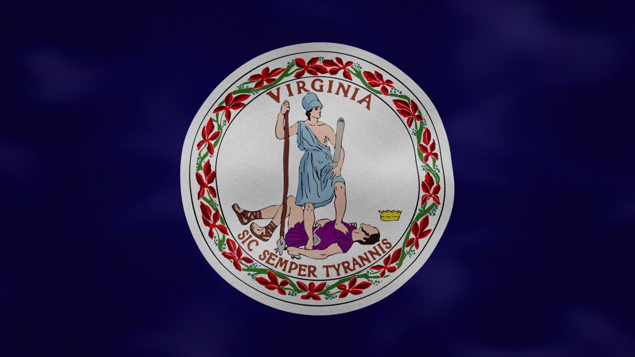 virginia densa tela de la bandera ondula, bucle de fondo