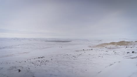 arctic tundra after fresh winter snow