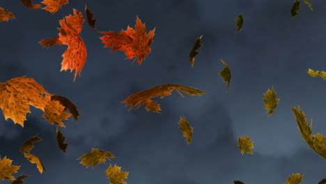 animación digital de múltiples hojas de arce de otoño flotando contra un fondo gris texturizado