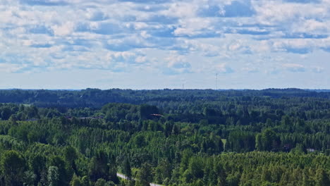 bird of prey soaring in the clouds above a forest. tracking shot