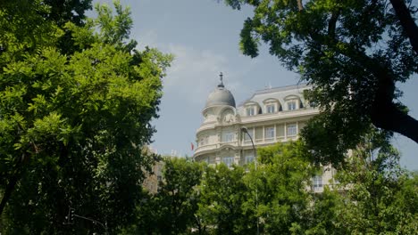 city building with trees