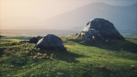 grandes piedras en el campo de hierba