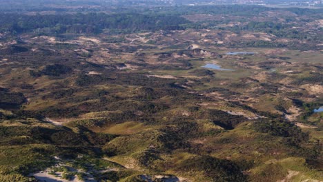 hermoso paisaje en la reserva natural de meijendel y la ciudad de la haya en segundo plano