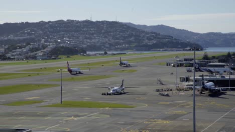 a qantas and an air nz airbus a320 plane taxiing to and from gates at wellington airport in nz