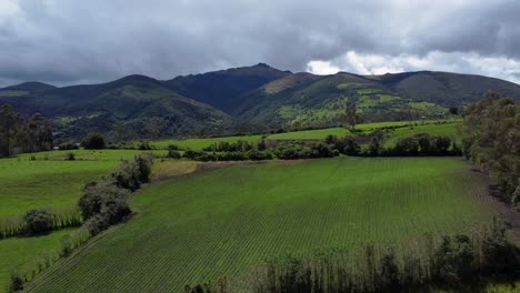 aerial drone view showing volcano pasochoa from a field in machachi, ecuador