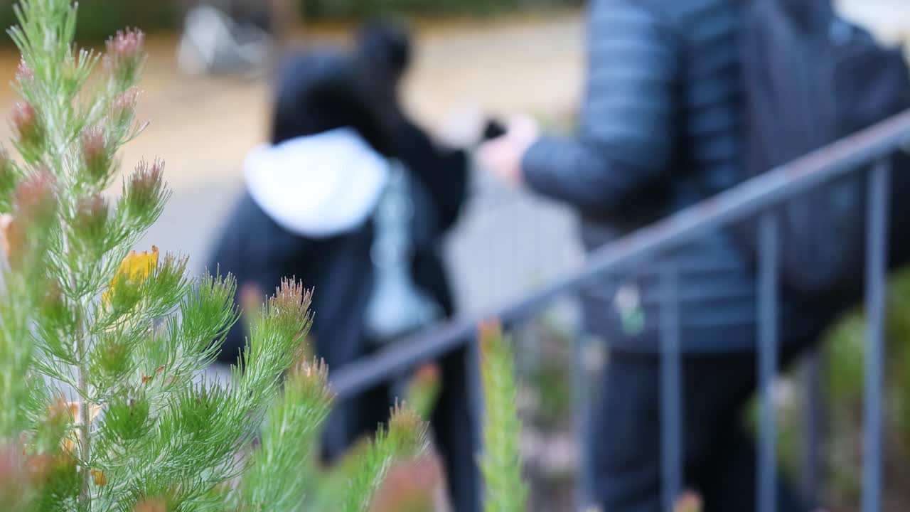 녹색 잎자루 에서 계단을 내려가는 개인