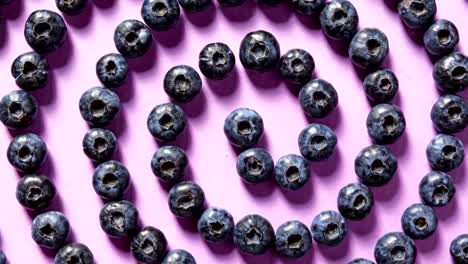 blueberry hypnosis stop motion animation