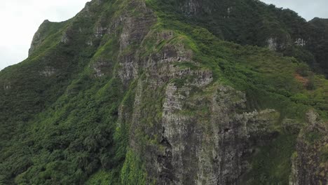 crouching lion hiking trail in honolulu hawaii showing a green rocky cliff face - aerial raise tilt