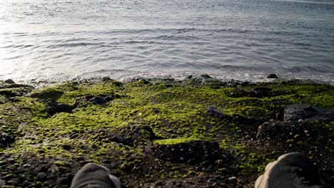 POV-footage-sitting-at-the-dutch-north-sea-shore-during-a-vibrant-summer-sunset-with-small-waves-splashing-onto-rocks-with-algae