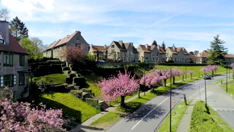 Green-tinted-houses-of-Floréal-district-in-Watermael-Boitsfort,-Belgium