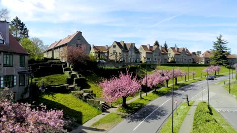 casas teñidas de verde del distrito floréal en watermael-boitsfort, bélgica