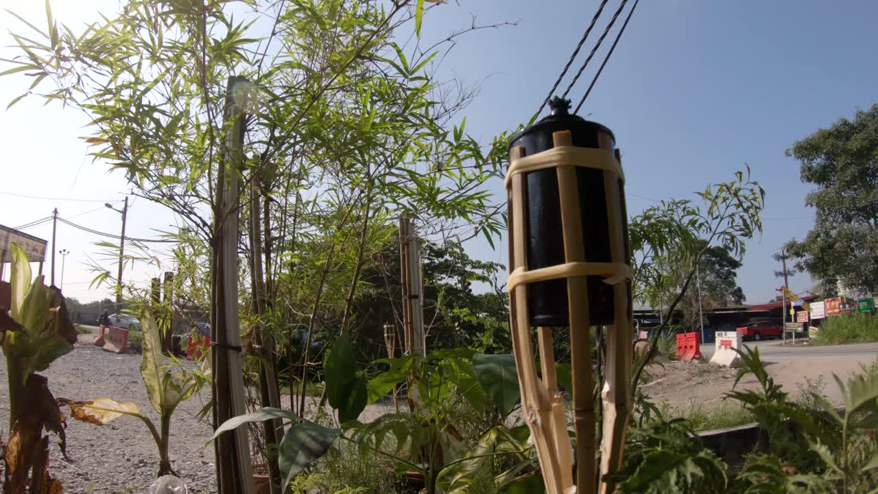 Raya Bamboo Torch With Trees - Plants on Background