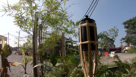 raya bamboo torch with trees - plants on background