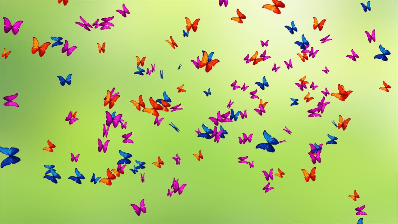 Cielo primaverile o estivo, sciame di farfalle monarca, farfalla che vola, saldi primaverili ed estivi, sfondo in loop.