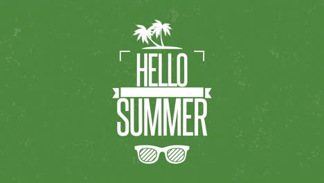 Hola-Verano-Con-Gafas-De-Sol-Y-Palmeras-En-Textura-Grunge-Verde