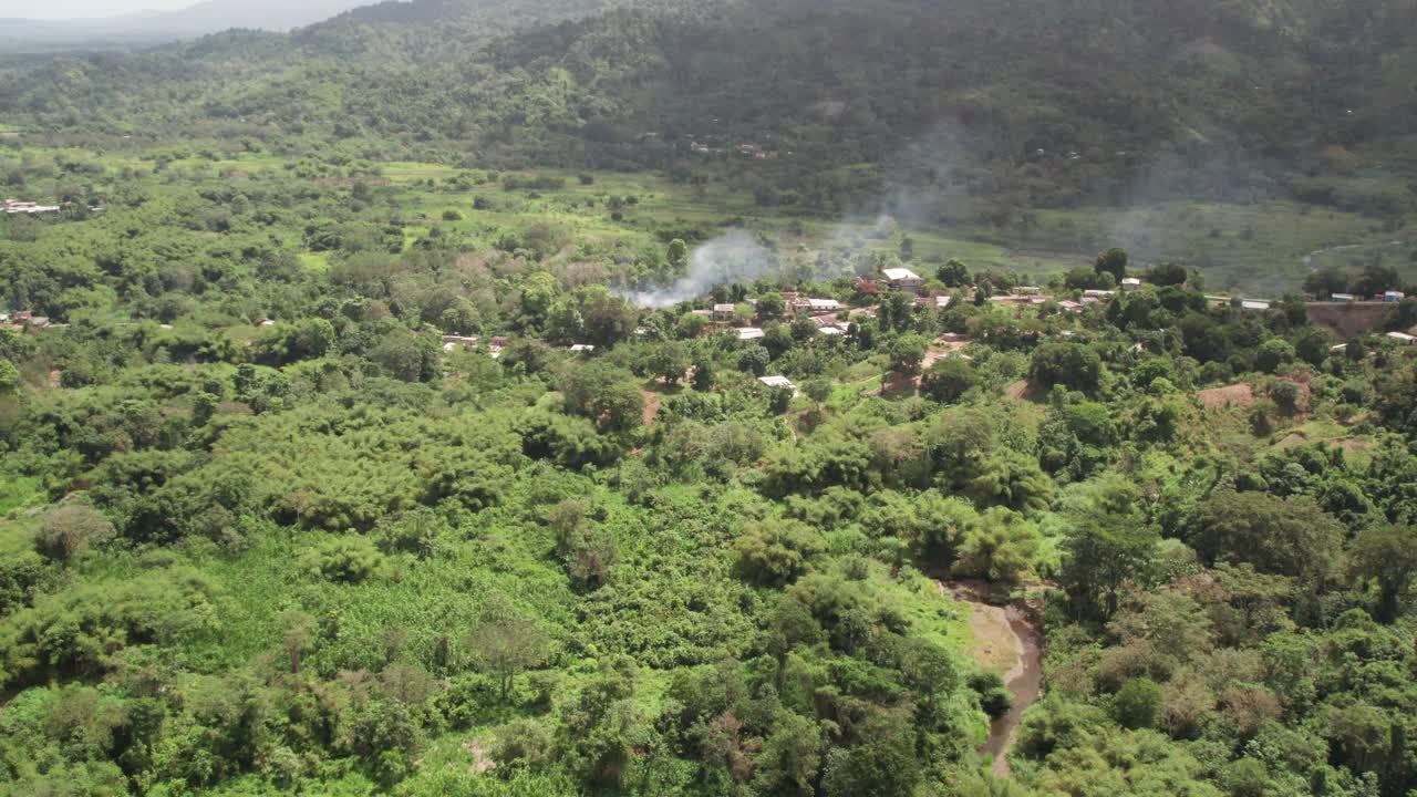 Cacao plantation in el guapo, miranda, venezuela, with greenery, aerial view