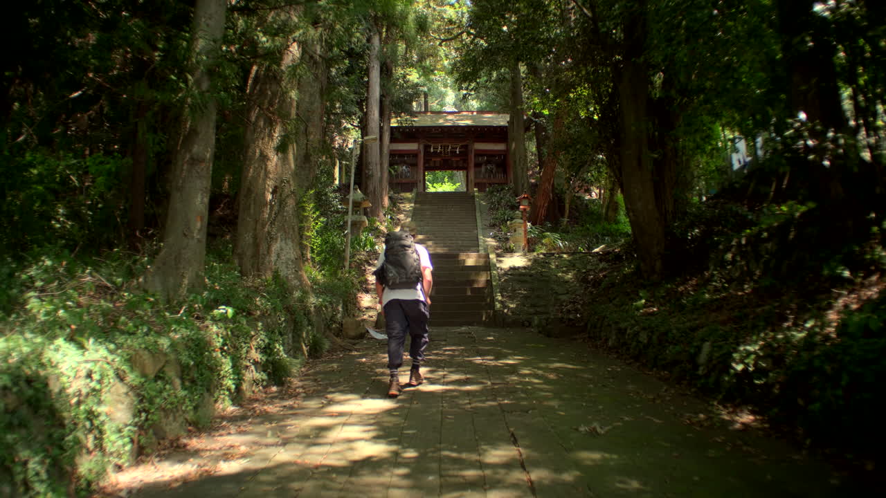 Sacred Temple Entrance in Forest – A peaceful stone stairway ascends through a dense forest, leading to an ancient Japanese shrine
