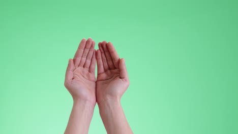 woman hands praying