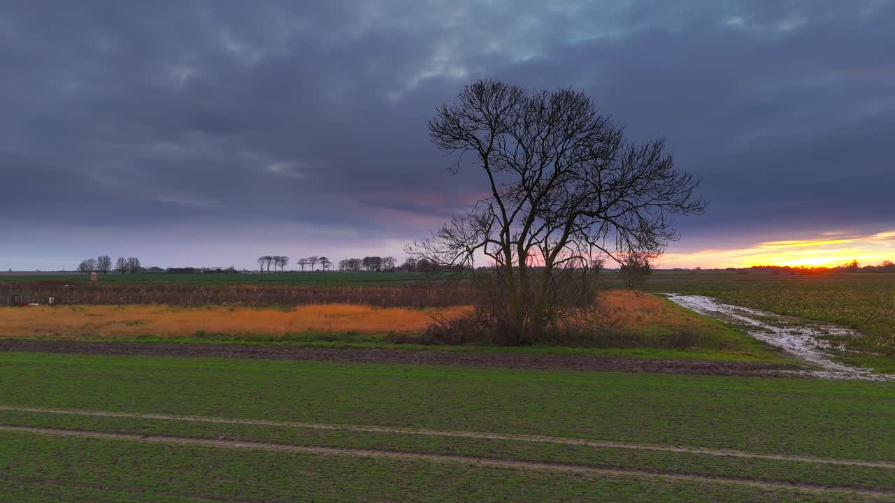 Drømmende landlig scene med solnedgang, jordbruksland, stier, et stemningsfullt tre og et gårdshus, rosa og oransje varm kveld. Regn med våte, gjørmete stier, spor, vilt vinterlandskap, engelsk utsikt, rustikk livsstil.