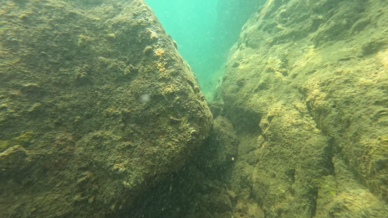 el video submarino captura el entorno de arrecife rocoso con aguas claras de color turquesa en phuket, tailandia. la iluminación natural destaca las texturas y el paisaje acuático