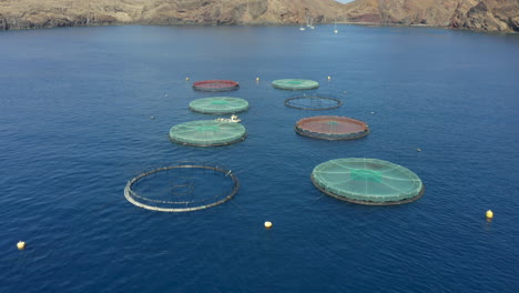 Vista-Aérea-De-Jaulas-Redondas-De-Peces-En-Una-Piscifactoría-En-El-Océano-Atlántico-Norte-Cerca-De-La-Isla-De-Madeira-En-Portugal