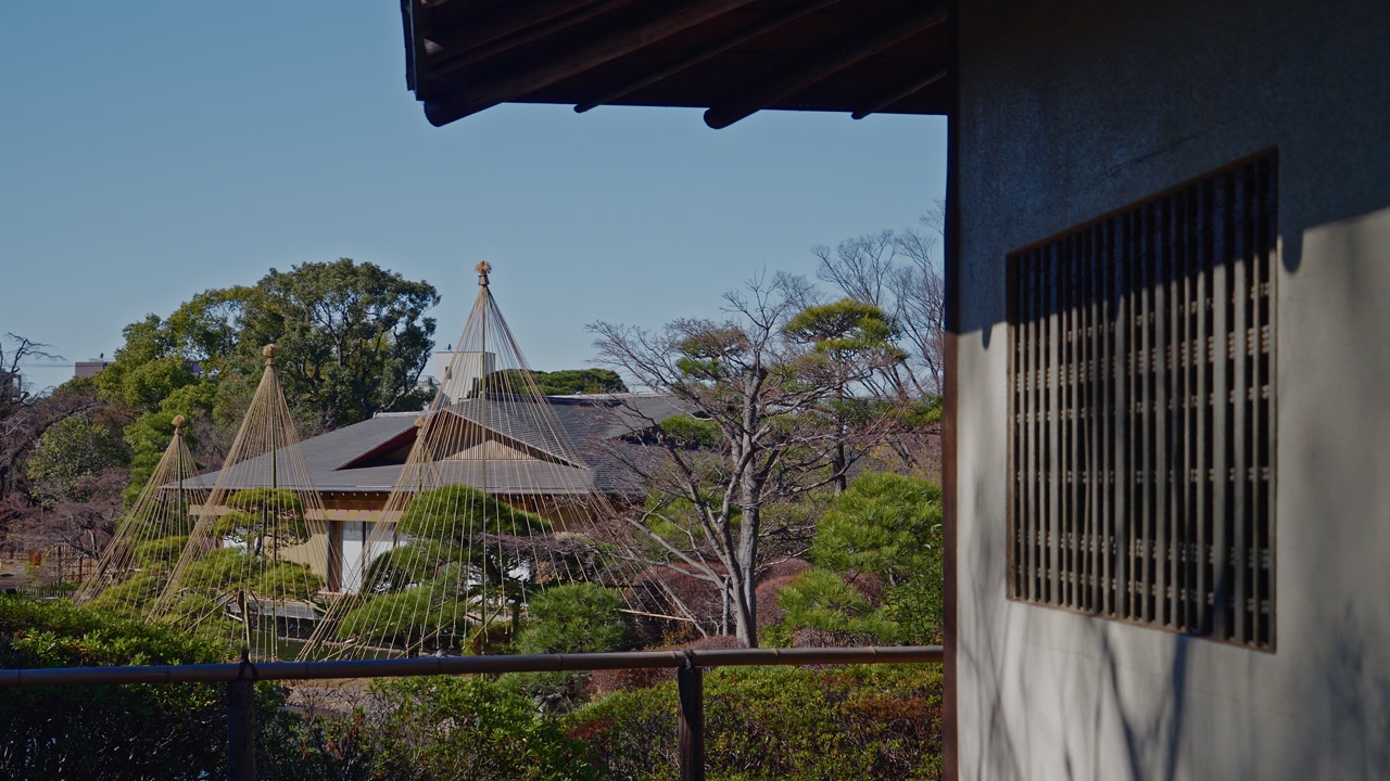 A serene view of a traditional Japanese building with a latticed window. In the background, pine trees are protected by "Yukitsuri" rope structures, set within a meticulously landscaped garden under a