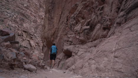 lonely male hiker with backpack walking into narrow slot canyon in grand canyon national park, bright angel hiking trail, arizona usa, full frame slow motion