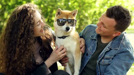 happy people loving pet owners are fussing dog in sunglasses then kissing it and taking glasses off dog's eyes while having fun in park on sunny day.