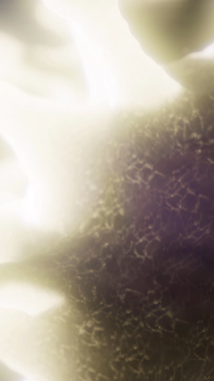 Showcasing intricate textures and forms