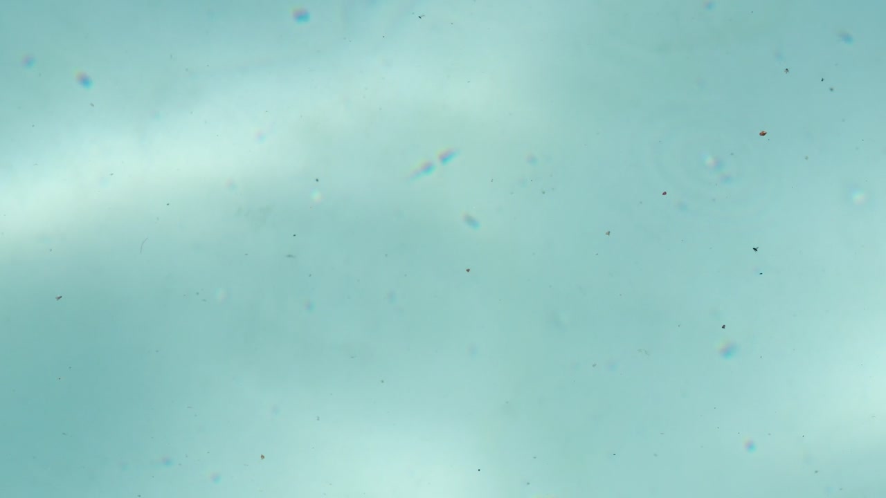 A top-down view of turquoise ocean water moving with soft ripples and natural sunlight