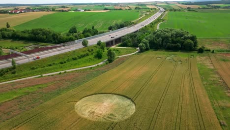 Kornformation-Durch-Abflachen-Einer-Weizengetreidepflanze