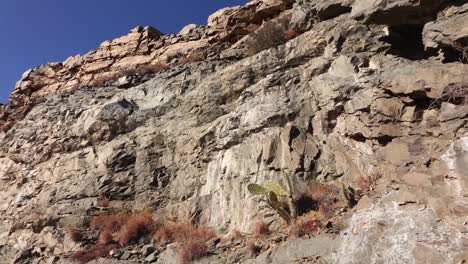 Ladera-De-La-Montaña-En-El-Gran-Karoo