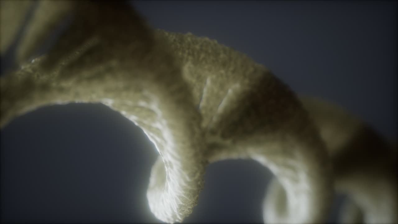 dna 가닥의 이중 루프 나선형 구조 클로즈업 애니메이션