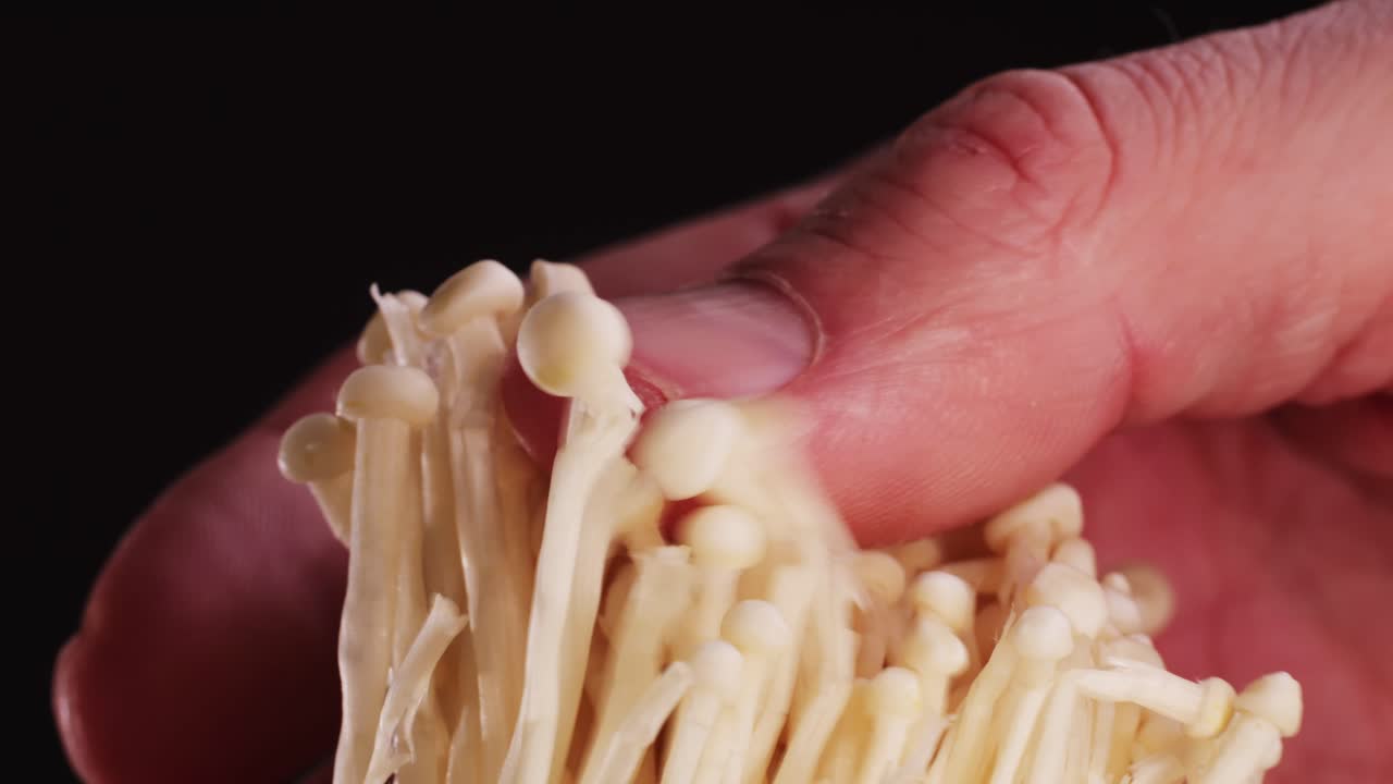 Hand holding a bunch of fresh mushrooms