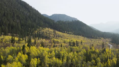 wonderful view of glorious trees and bright blue sky above - wasatch mountain state park in utah, usa - aerial shot