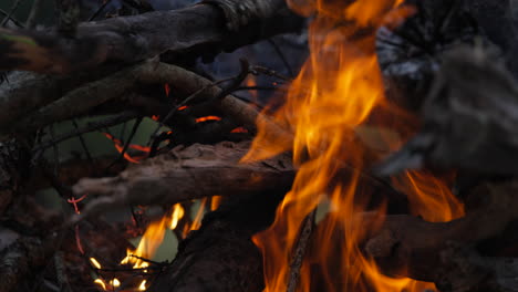 campfire after sunset on a campsite in ol pejeta, kenya