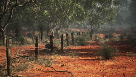 Old-rural-barbed-wire-fence-with-wooden-posts