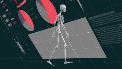 animación de un esqueleto humano que camina sobre una interfaz infográfica contra un fondo negro