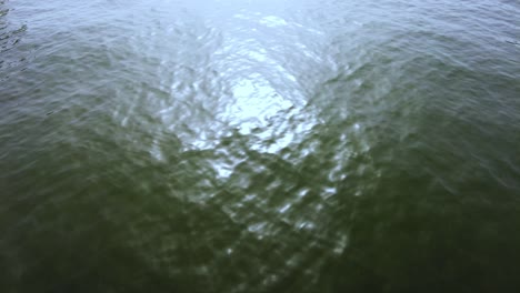 sun reflecting off water surface in lisbon, portugal - close up