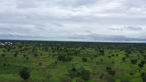 natural green vegetation with clouds