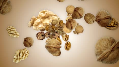 el fondo de las nueces que caen, el bucle, la animación, el renderizado, con el canal alfa