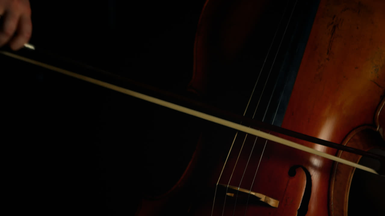 Woman playing a violin