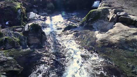 water in a creek in christieparken in bergen, norway