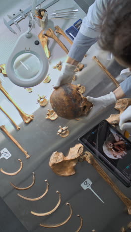 forensic anthropology research and analysis