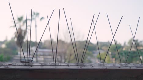 Pigeon-Spikes-to-Prevent-Birds-Perching-or-Roosting,-Close-Up-Slider-Left