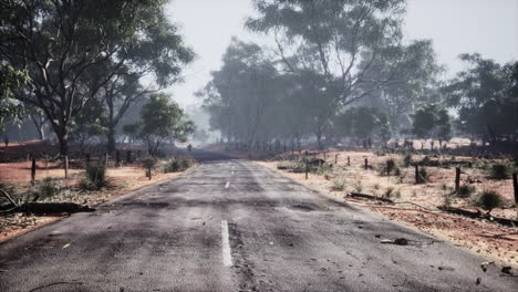 asphalt road through the deep forest